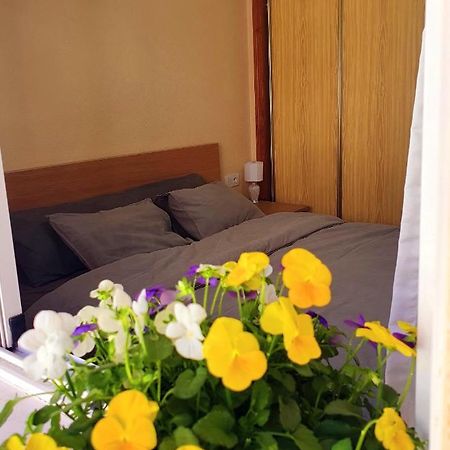 Isamar Apartamento Playa Del Cura Torrevieja Exteriér fotografie