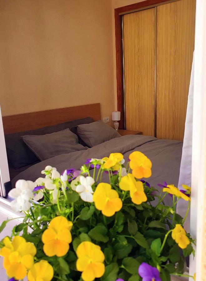 Isamar Apartamento Playa Del Cura Torrevieja Exteriér fotografie